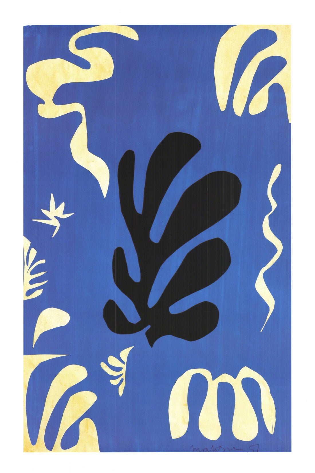 Composition Fond Bleu