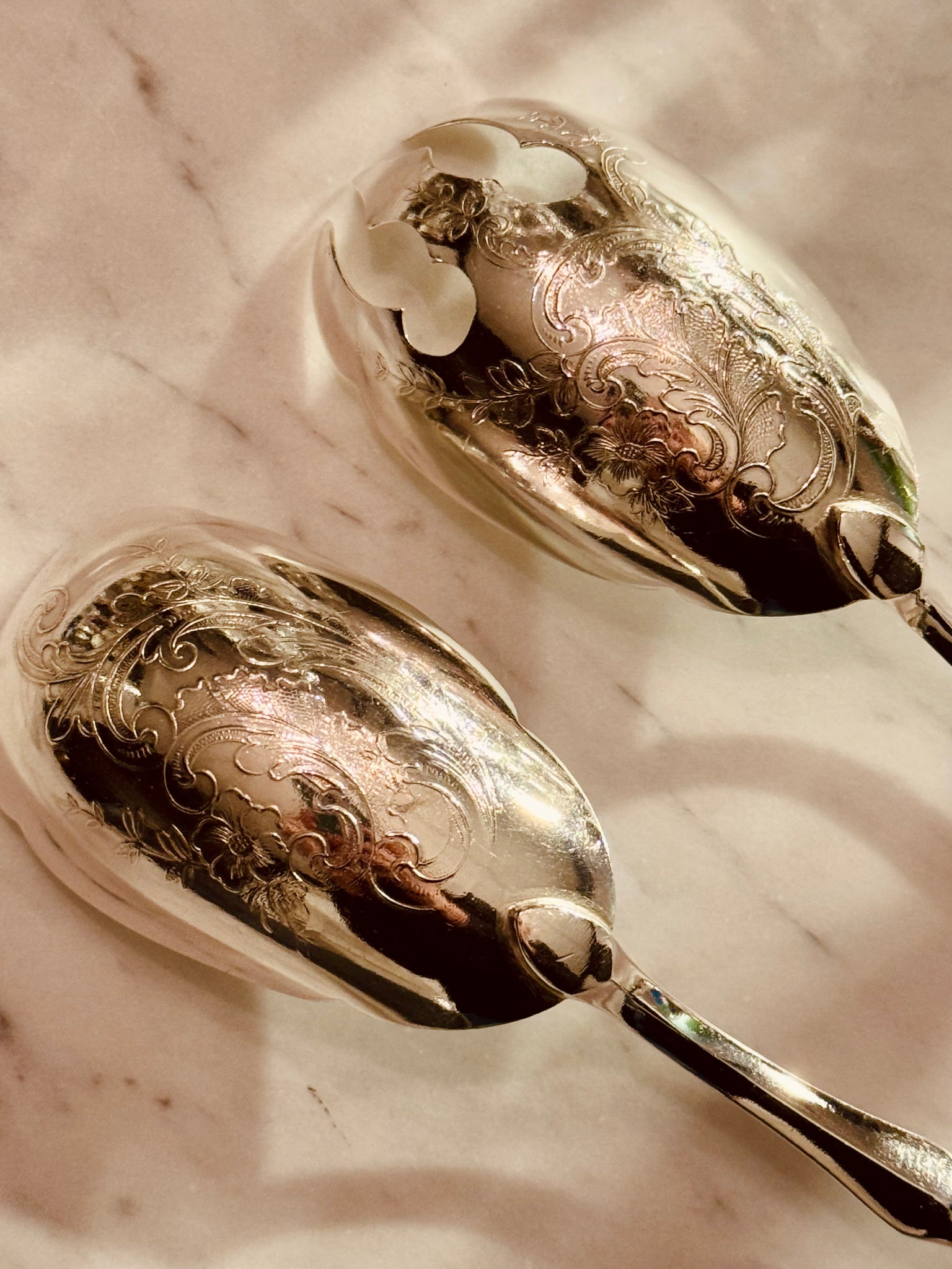 Paris Collection: Silver Server Set 001