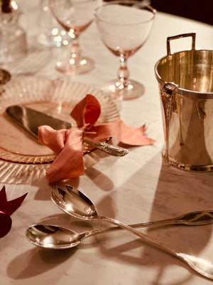 Paris Collection: Silver Server Set 002