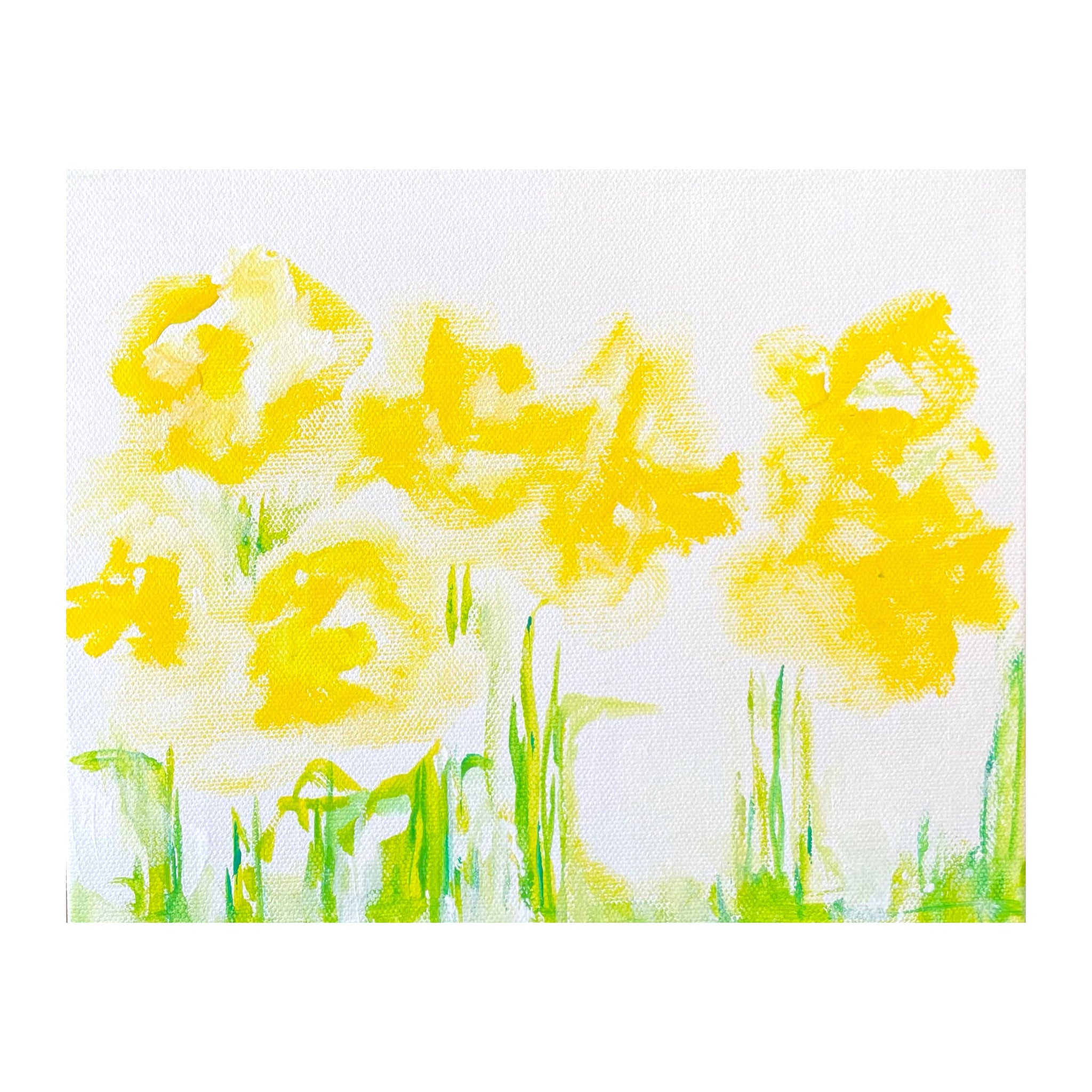 Daffodil III