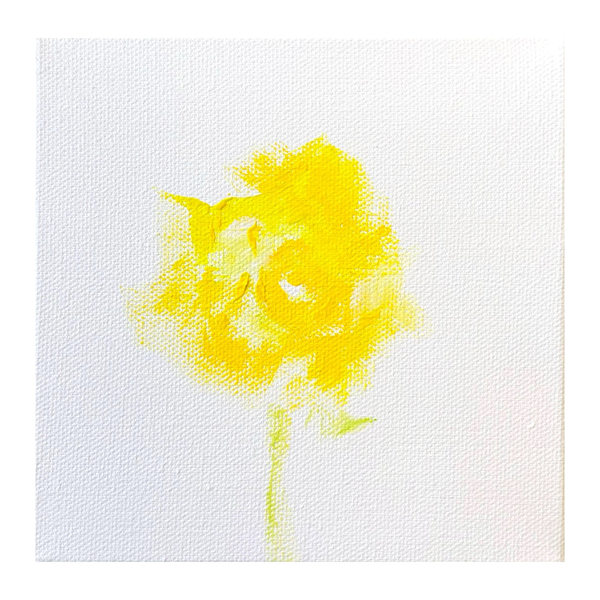 Daffodil II