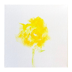 Daffodil II