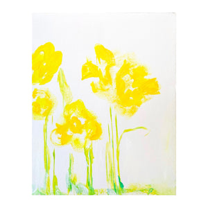 Daffodil IV