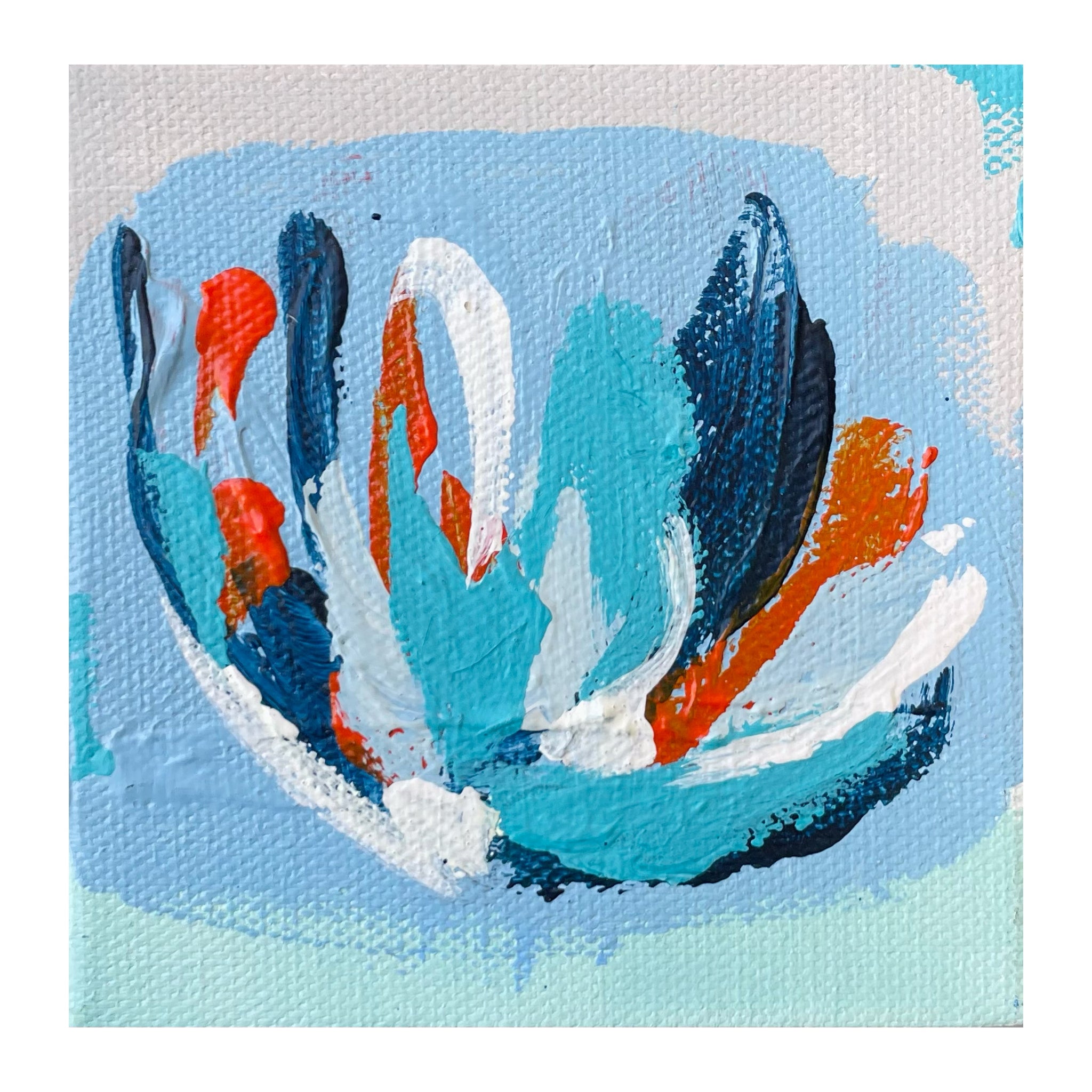 Tulip XII