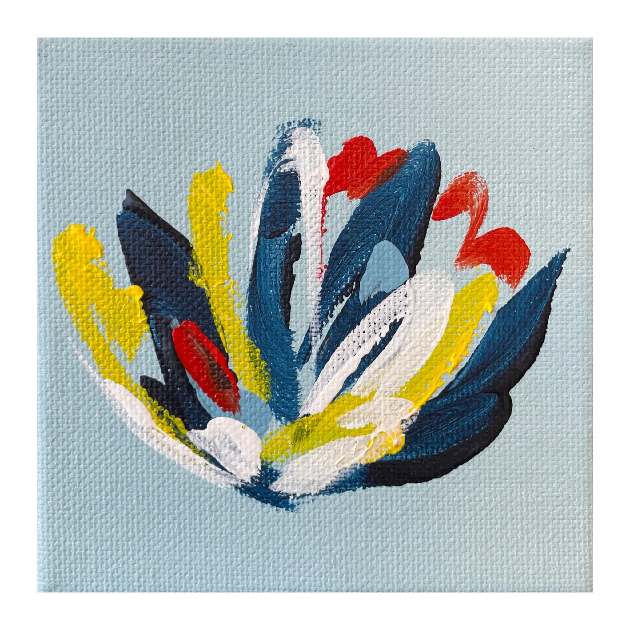 Tulip XI