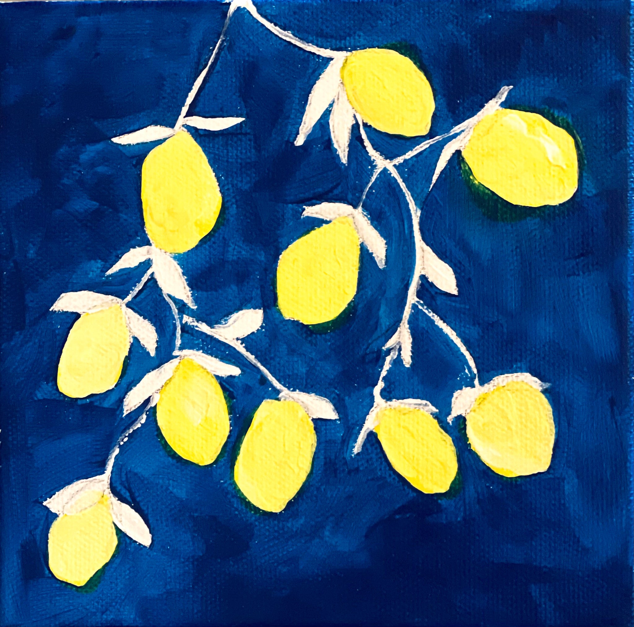 Lemons on the vine out the window at night in Capri X