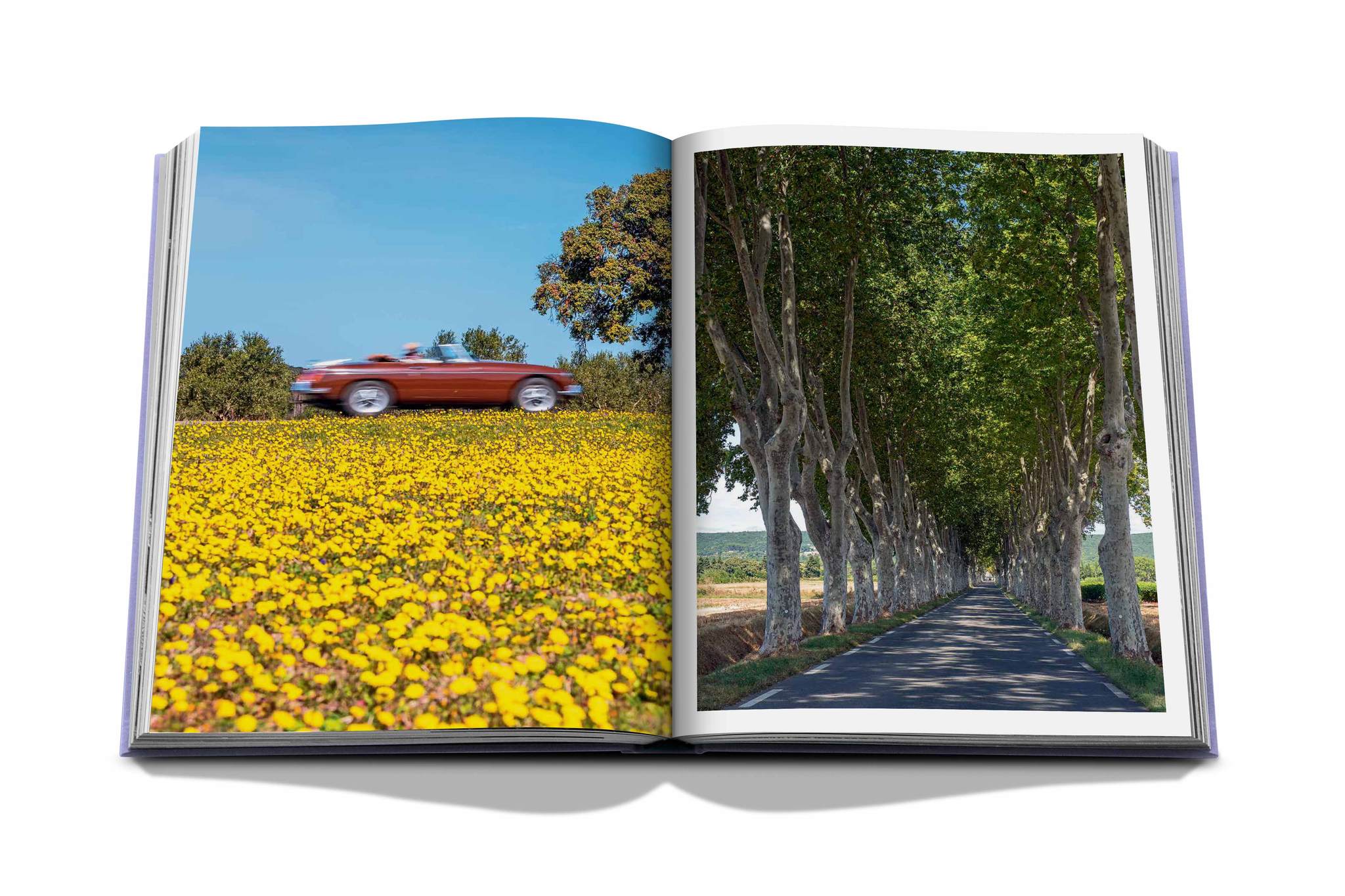 Provence Glory Book