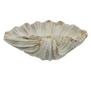 Giant Seashell